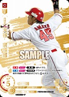 カープのカード 広島東洋カープ｜TCGシングルカード通販なら「193net」
